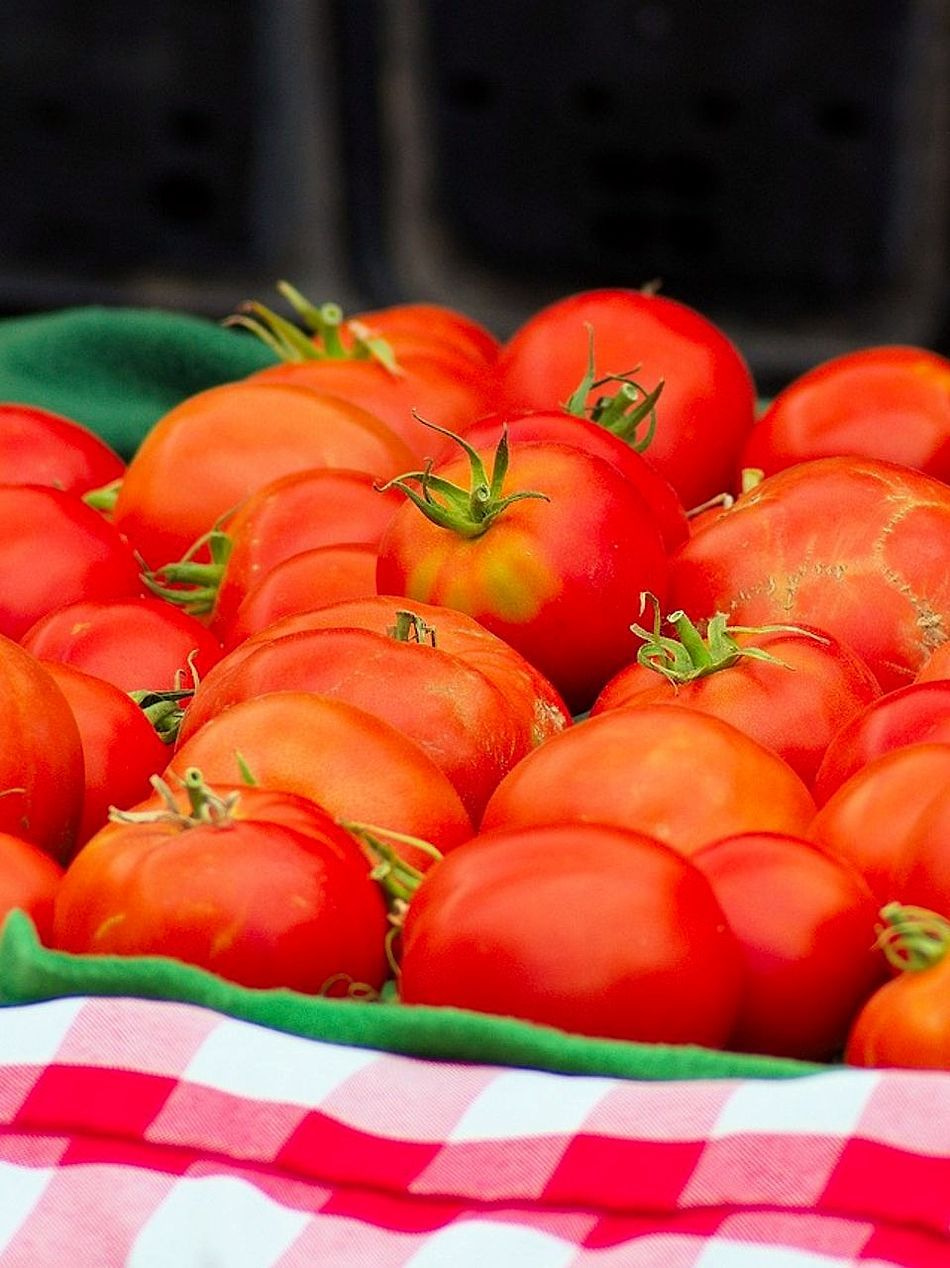 Il cuore della nostra fattoria, dal pollo alle uova fresche, dai galli allevati in libertà ai prodotti biologici della terra.